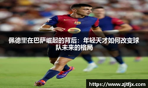 球速体育平台登录入口