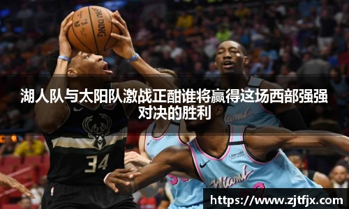 球速体育平台登录入口