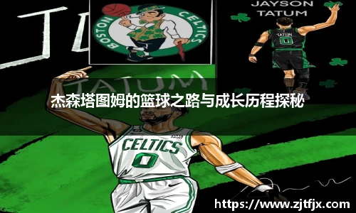 球速体育平台登录入口