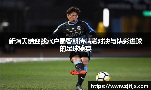 球速体育平台登录入口