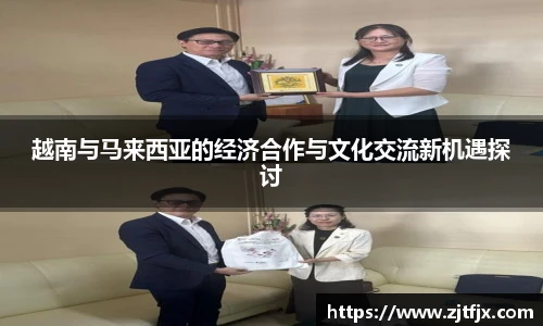 球速体育平台登录入口