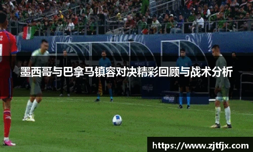 球速体育平台登录入口