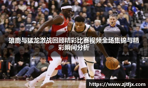 球速体育平台登录入口